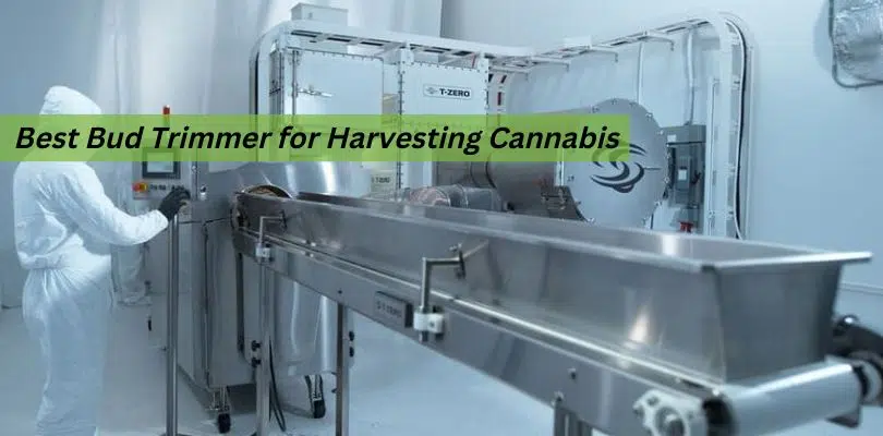 best bud trimmer for harvesting cannabis